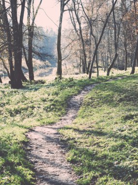 sonbahar renkli Turizm trail ormanda - retro, vintage