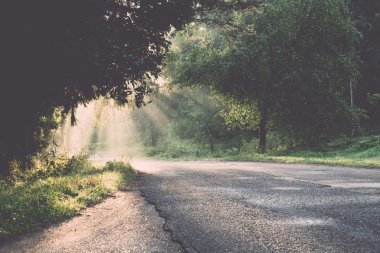 puslu alanları ve çayırlar retro, vinta yaz - yağmurda sonra