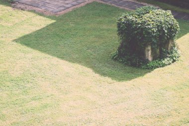 Gölgeler ve borular - retro, vintage ile yeşil çim