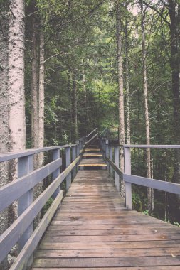 doğal ve güzel turizm iz ormanda nehir - yeniden