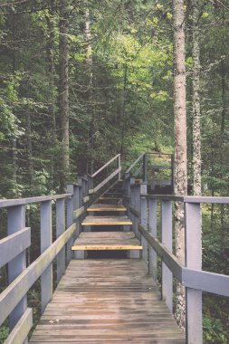 doğal ve güzel turizm iz ormanda nehir - yeniden