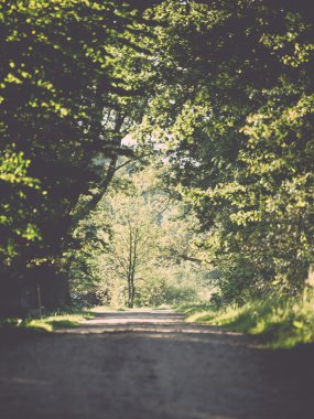 ülke yol sokak akşam güneşi tarafından - retro, vintage yaktı.