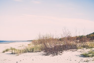 geç sonbahar renkleri denize sıfır - dunes içinde retro, vintage