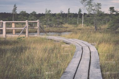 görünümü ile göl ve patika - bataklık retro, vintage