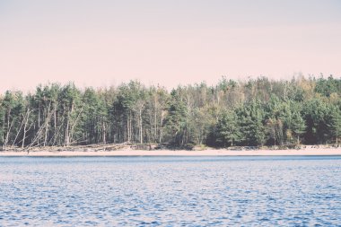 geç sonbahar renkleri denize sıfır - dunes içinde retro, vintage