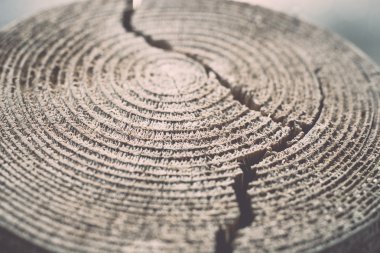 parçalanmak ve çatlaklar - retro, vintage ile ahşap tahta