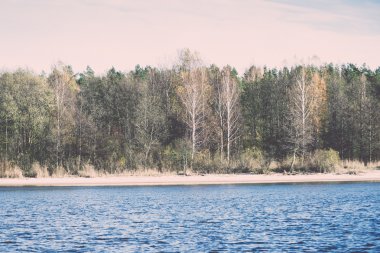 geç sonbahar renkleri denize sıfır - dunes içinde retro, vintage