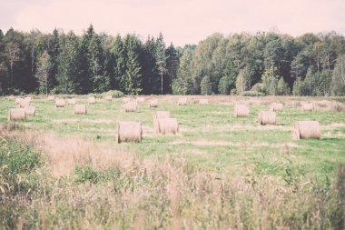 saman yeşil alan - retro, vintage alır.