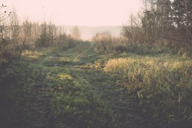 Sabahları güzel misty çayır frost - retro, vintage