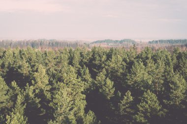 panoramik sisli orman - retro, vintage