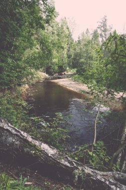 Dağ nehre Flowing su akışı ve sandsto ile göster