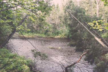 Dağ nehre Flowing su akışı ve sandsto ile göster