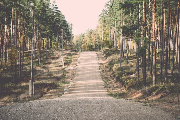 Route de gravier de campagne dans la forêt - rétro, vintage — Photo