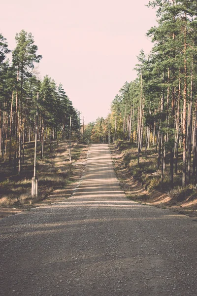 Štěrkové silnici v lese - retro a vintage — Stock fotografie