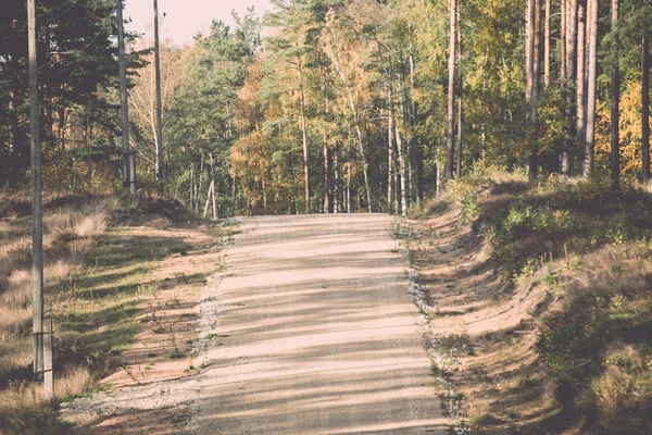 Štěrkové silnici v lese - retro a vintage — Stock fotografie