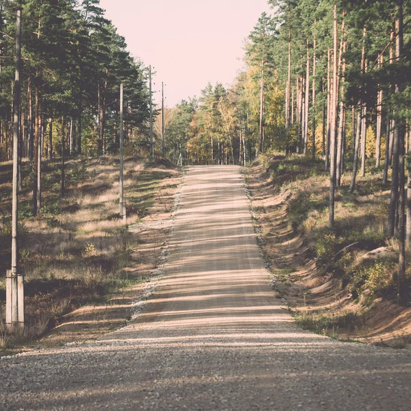 Ülke stabilize yol ormandaki - retro, vintage — Stok fotoğraf