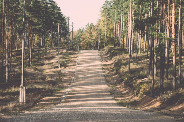 Route de gravier de campagne dans la forêt - rétro, vintage — Photo