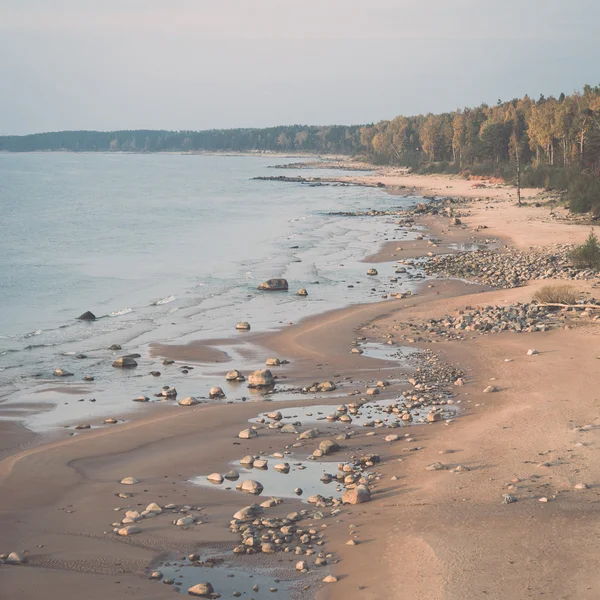 Aerial view to the Shoreline of Baltic sea beach with rocks and — Stock Photo, Image