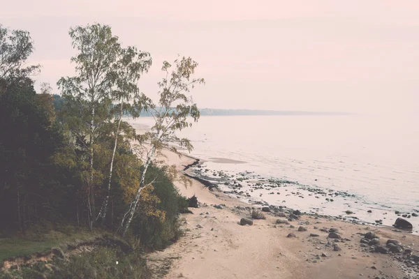 Vista aérea a la costa de la playa del mar Báltico con rocas y —  Fotos de Stock
