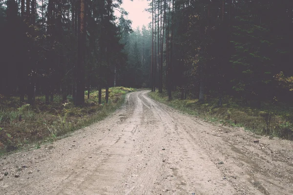 Strada sterrata di campagna nel bosco - retrò, vintage — Foto Stock