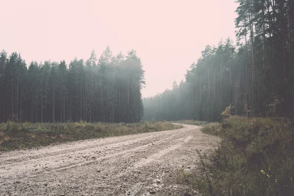 Strada sterrata di campagna nel bosco - retrò, vintage — Foto Stock
