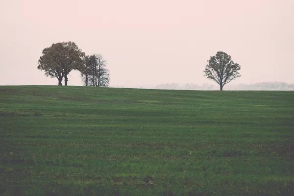 Πράσινο χωράφι με δέντρα στη χώρα - ρετρό, vintage — Φωτογραφία Αρχείου