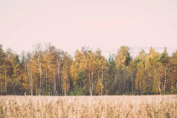 Paysage rural coloré automne - rétro, vintage — Photo