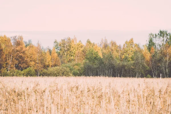 Autumn colored countryside landscape - retro, vintage — Stock Photo, Image