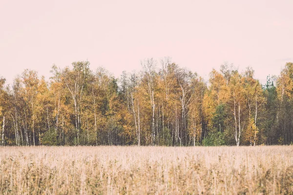 Осінній кольоровий сільський пейзаж ретро, вінтажний — стокове фото