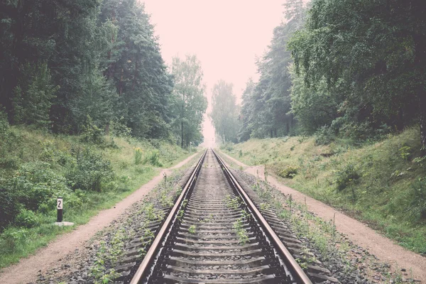 Старая железная дорога в лесу - ретро, винтаж — стоковое фото