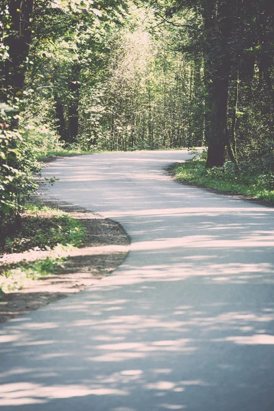 Slightly lit road in the forest - retro, vintage — Stock Photo, Image