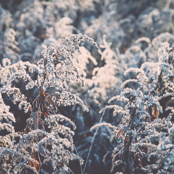Első téli fagy az országban - retro, vintage — Stock Fotó