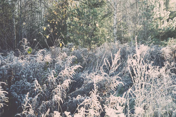 First winter frost in the country - retro, vintage — Stock Photo, Image