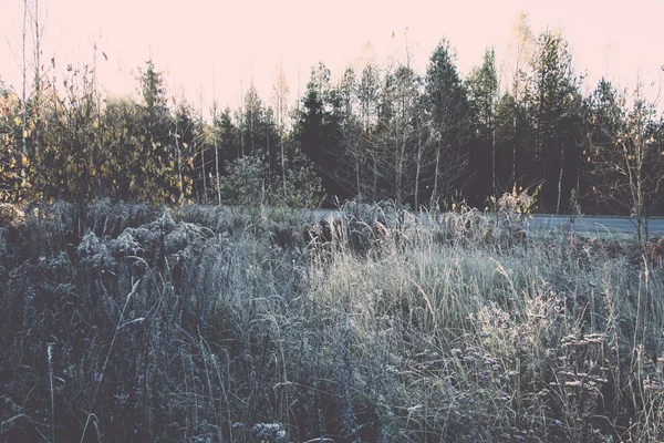 Erster Winterfrost im Land - Retro, Jahrgang — Stockfoto