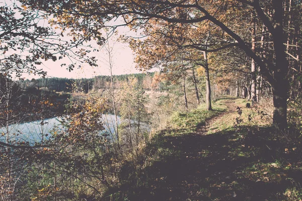 Podzimní barevné turistická stezka v lese - retro a vintage — Stock fotografie