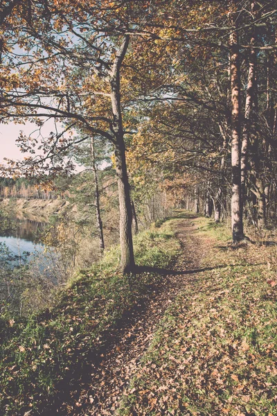 Podzimní barevné turistická stezka v lese - retro a vintage — Stock fotografie