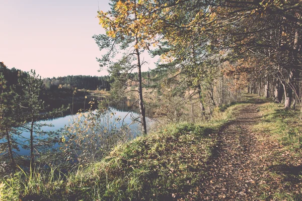 Höstens färgade turism trail i skogen - retro, vintage — Stockfoto