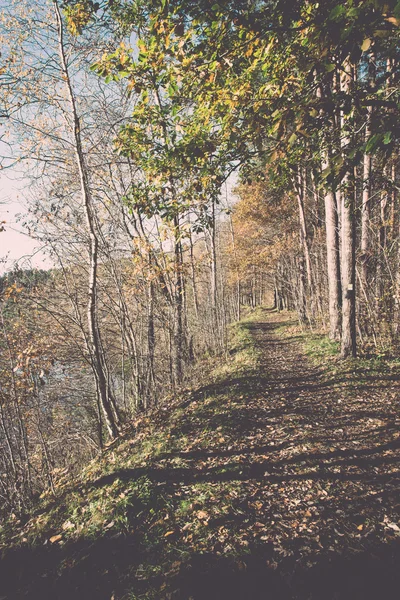 Podzimní barevné turistická stezka v lese - retro a vintage — Stock fotografie