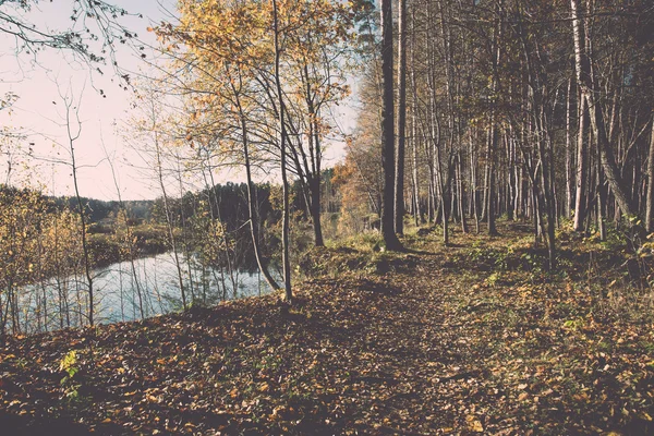 秋季彩色旅游小径在树林复古, 复古 — 图库照片