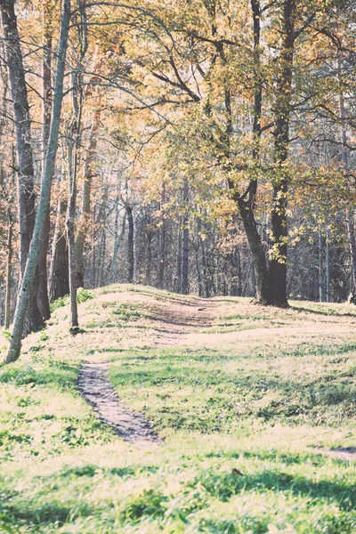 Trilha de turismo colorido outono nas florestas - retro, vintage — Fotografia de Stock