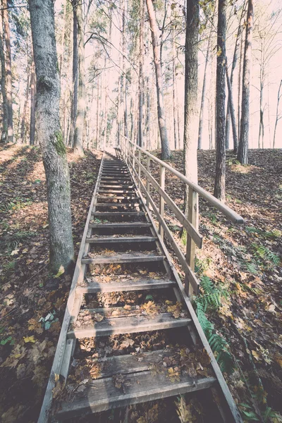 Sendero turístico de color otoño en el bosque - retro, vendimia — Foto de Stock