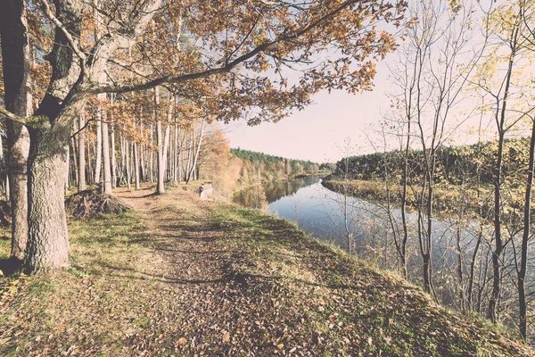 秋の色観光トレイル森 - レトロ、ヴィンテージ — ストック写真