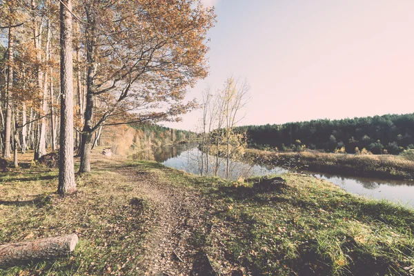 Sendero turístico de color otoño en el bosque - retro, vendimia — Foto de Stock