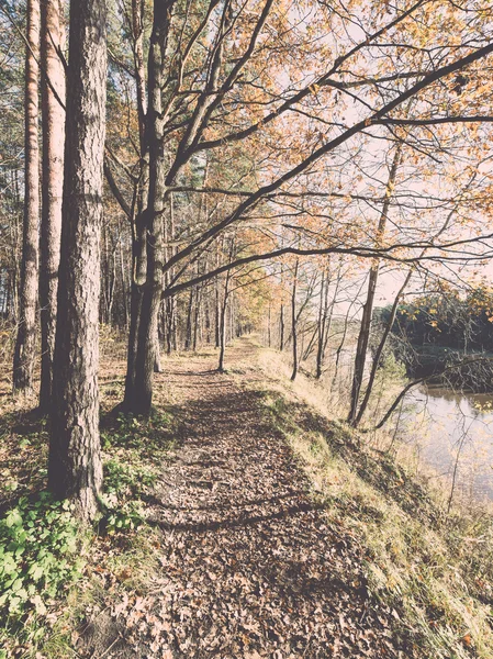 Herbstfarbener Touristenpfad in den Wäldern - retro, vintage — Stockfoto