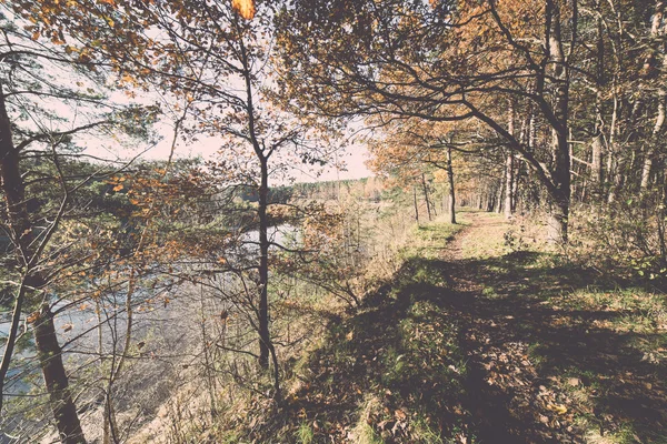 Podzimní barevné turistická stezka v lese - retro a vintage — Stock fotografie