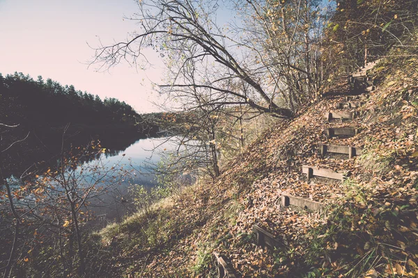 Sentier touristique coloré automne dans les bois - rétro, vintage — Photo