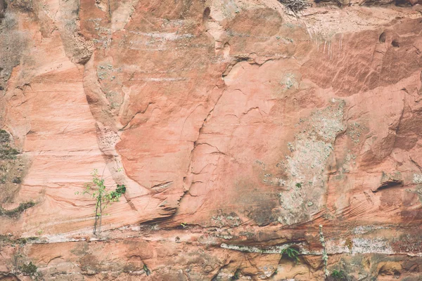 Gondolatok a Sweater és homokkő sziklák - retro, v folyó — Stock Fotó