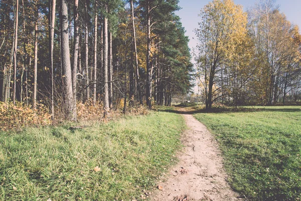 Herbstfarbener Touristenpfad in den Wäldern - retro, vintage — Stockfoto