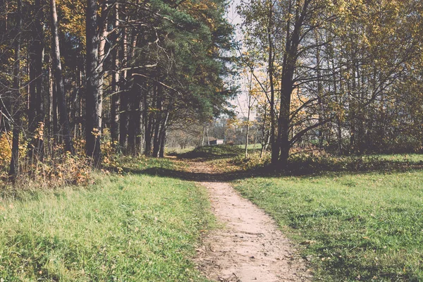 Podzimní barevné turistická stezka v lese - retro a vintage — Stock fotografie