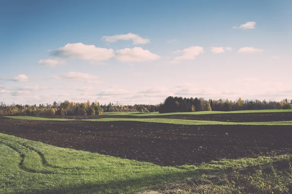 Grüne Wiese mit Bäumen auf dem Land - retro, vintage — Stockfoto